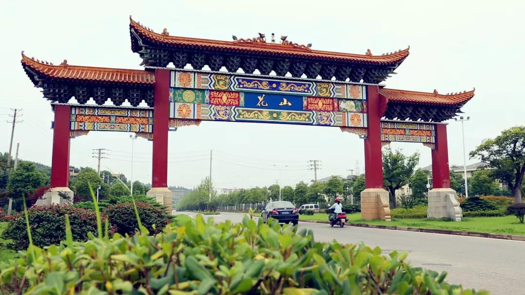 8.cc U投辅导者