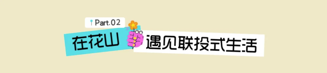 8.cc U投辅导者