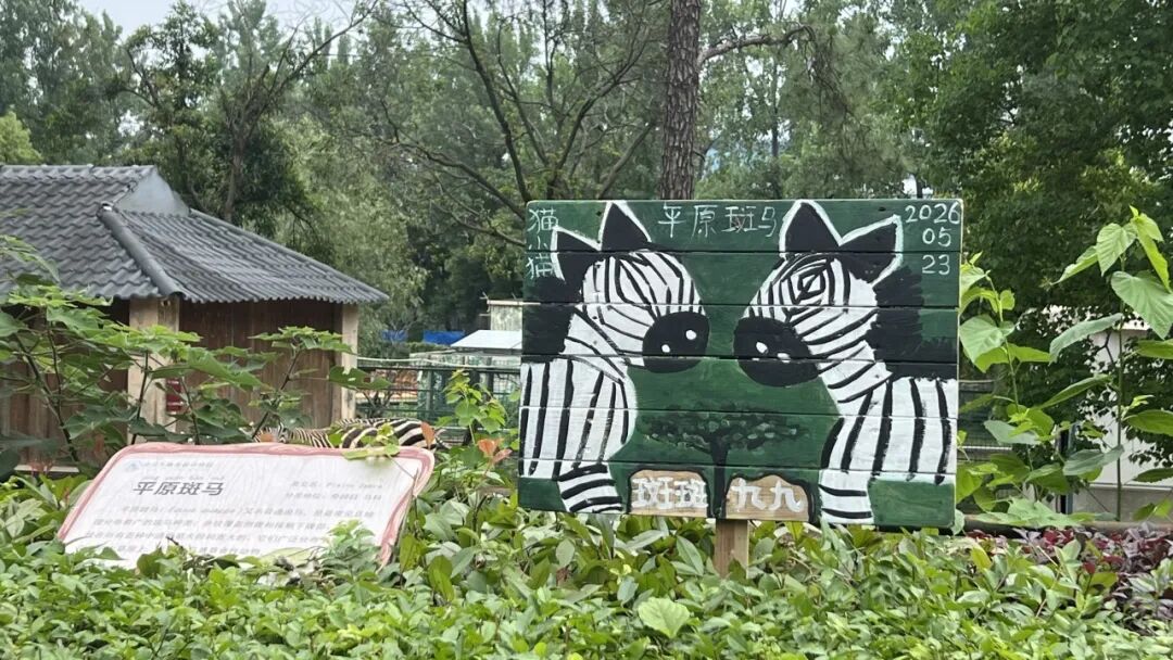 8.cc U投辅导者