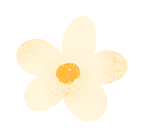 8.cc U投辅导者