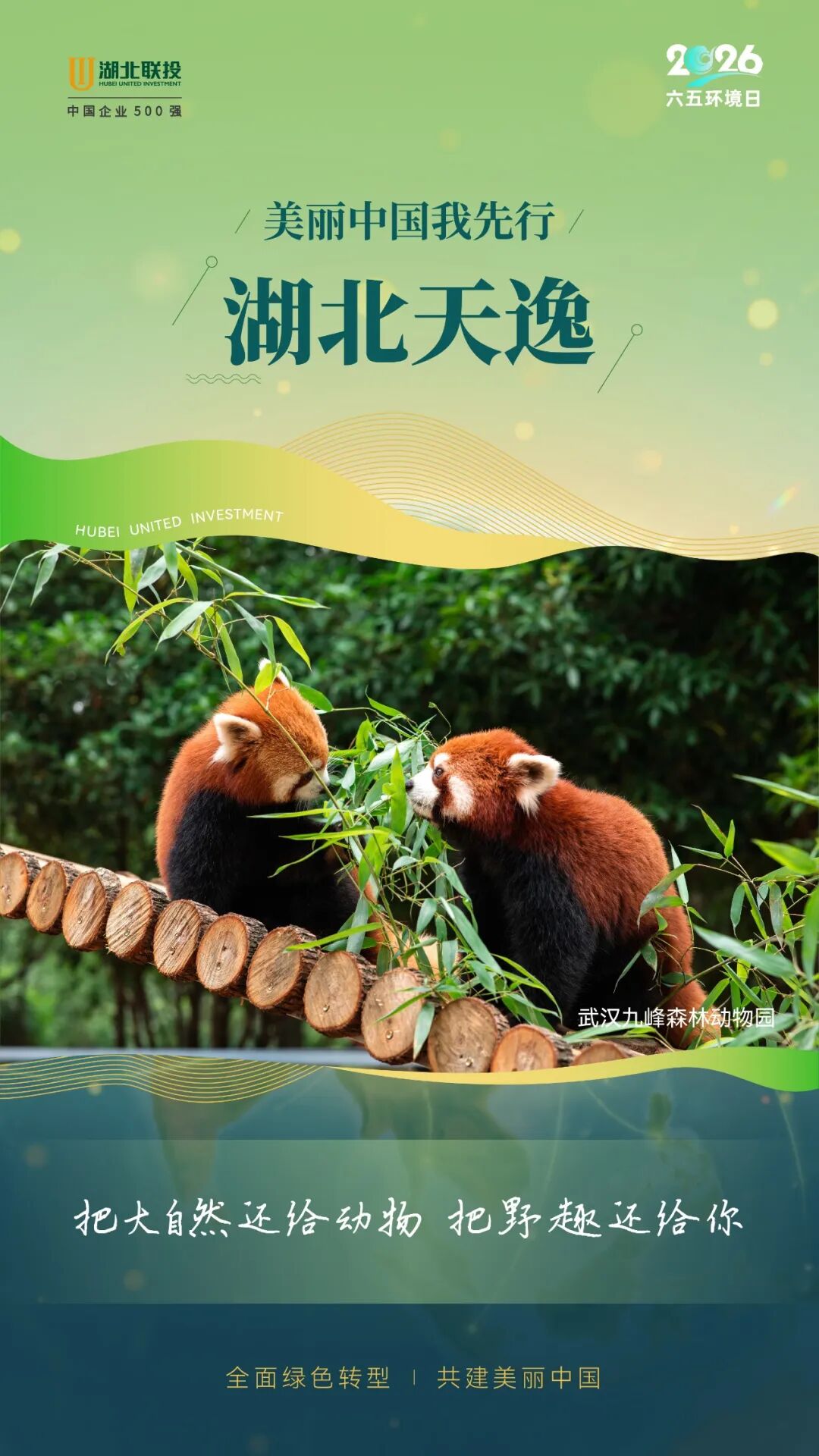 W020260605689604068753_ORIGIN 8.cc U投辅导者