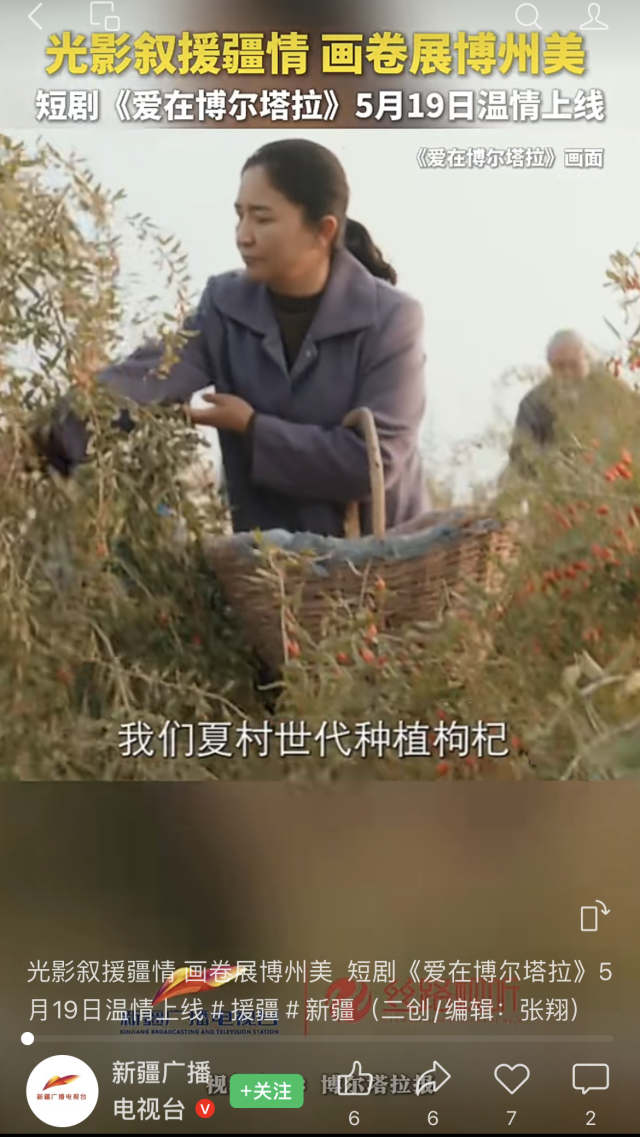 8.cc U投辅导者