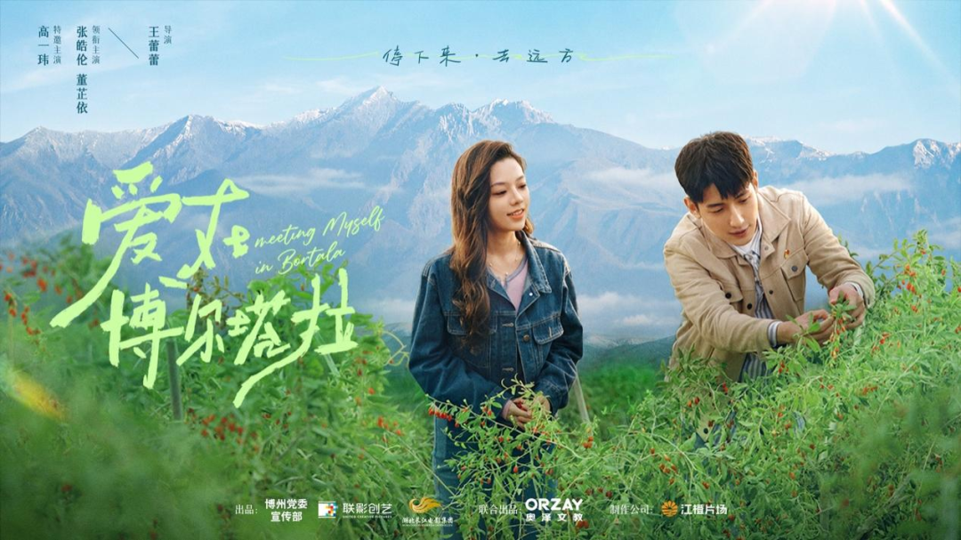 8.cc U投辅导者